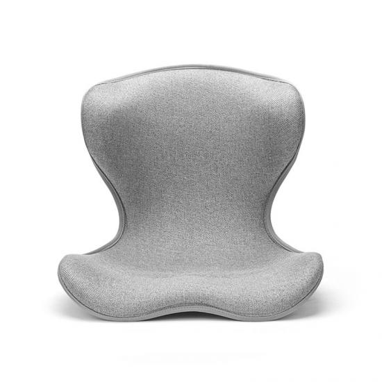 back support cushion